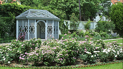 Im Hintergrund ist das Salettl im Herrschaftsgartel im Park vom Schloss Eggenberg zu sehen. Im Vordergrund sind Blumenbeete mit Rosen.