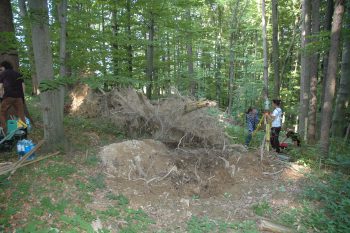 Lehrgrabung in Großklein, Foto: UMJ