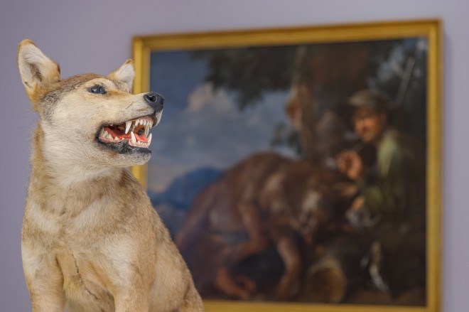 Ausstellungsansicht Der Wolf, 2016/Foto: Universalmuseum Joanneum/N. Lackner 