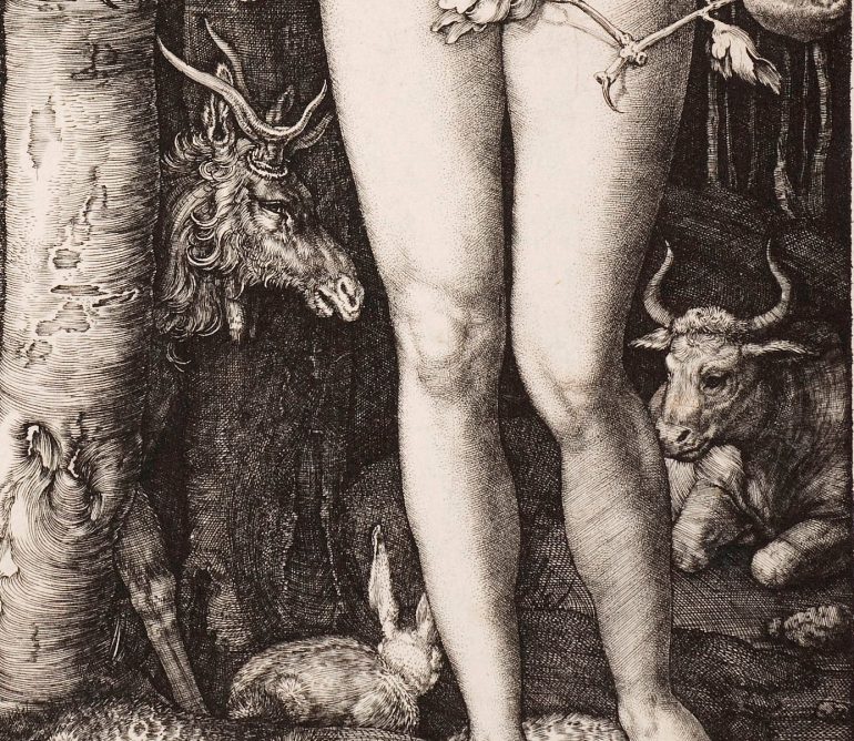 Albrecht Dürer (1471–1528), Adam und Eva (Detail), 1504, Kupferstich, Alte Galerie, Inv.-Nr. AG.K. 1