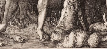 Albrecht Dürer (1471–1528), Adam und Eva (Detail), 1504, Kupferstich, Alte Galerie, Inv.-Nr. AG.K. 1