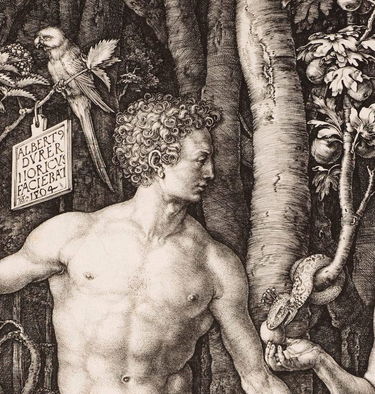 Albrecht Dürer (1471–1528), Adam und Eva (Detail), 1504, Kupferstich, Alte Galerie, Inv.-Nr. AG.K. 1