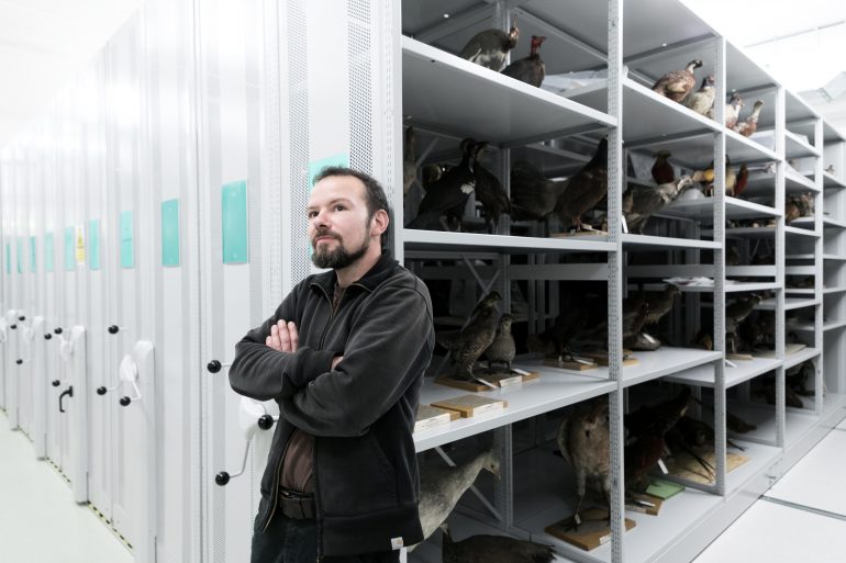 Martin Unruh, geboren 1976 in Gera/Thüringen, ist der einzige Tierpräparator am Universalmuseum Joanneum. Foto: Oliver Wolf