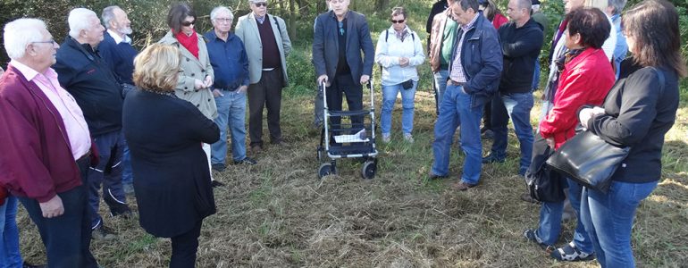 Leopold Toifl, der wissenschaftliche Leiter im Landeszeughaus führt eine Gruppe Menschen durch einen Wald in Mogerdorf