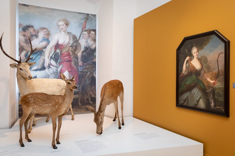 Rehe und großformatige Bilder vor einem gelben Hintergrund in der Ausstellung "Die Jagd ist weiblich" im Jagdmuseum Schloss Stainz