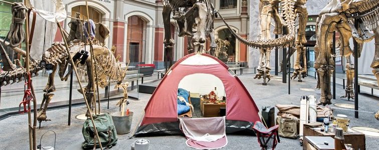 Mark Dion: ‘Collectors Collected. The Material Culture of Field Work’, 2018, as part of ‘Kunst/Natur: Artistic Interventions at the Museum für Naturkunde Berlin’ // Courtesy of the artist and Museum für Naturkunde Berlin © Hwa Ja Götz