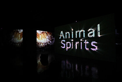 Ausstellungsansicht Hito Steyerl "Animal Spirits"