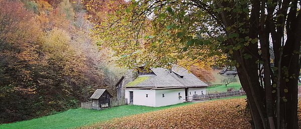 Im herbstlichen Reigen