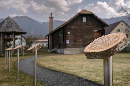 Scheiben der unterschiedlichen Holzarten auf Metallsäulen im Garten des Rosegger-Museums, neben dem Weg zum Studierstüberl. 