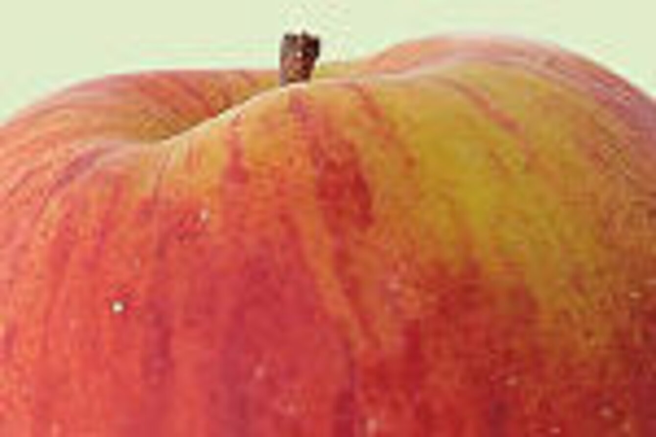 Foto von einem rot-gelben Apfel.