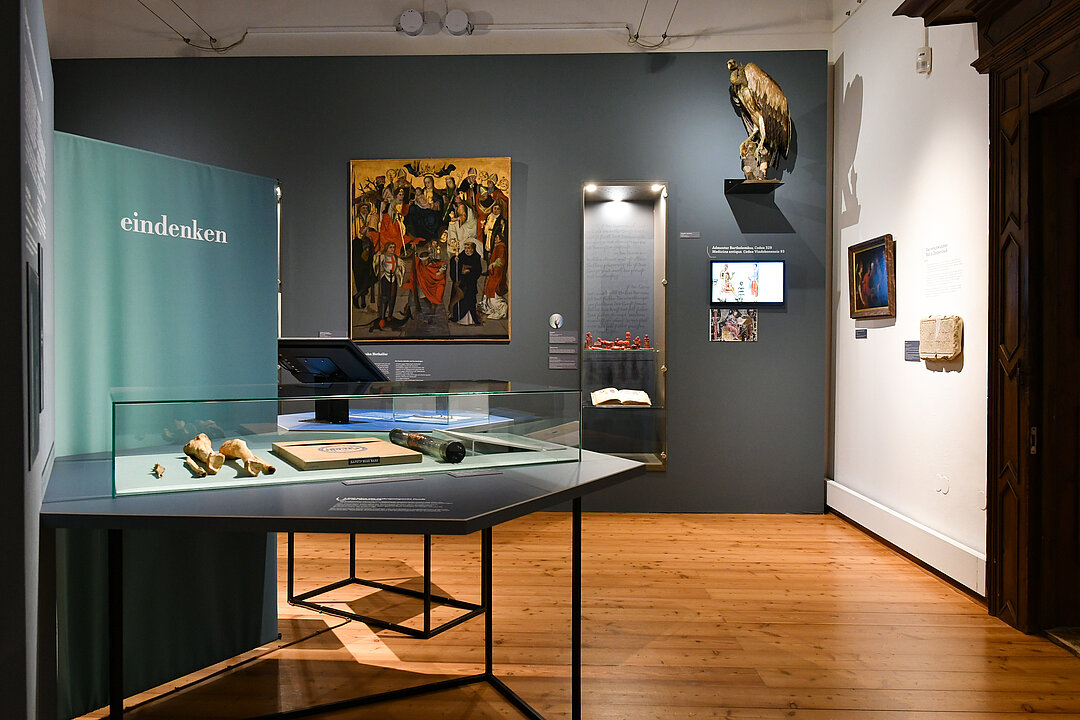 Photo of an exhibition room. In front of a blue wall hangs a painting and a stuffed vulture. In the middle of the room is a blue pedestal with a display case. In this showcase there are bones.