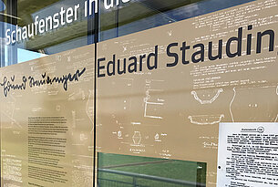 Eduard Staudinger. Das archäologische Gewissen von Flavia Solva