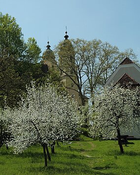 Ansicht der blühenden Obstbäume im Schenkkellergarten beim Schloss Stainz. Im Hintergrund sind die Türme der Stiftskirche zu sehen.