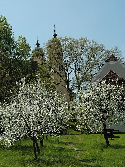 Ansicht der blühenden Obstbäume im Schenkkellergarten beim Schloss Stainz. Im Hintergrund sind die Türme der Stiftskirche zu sehen.