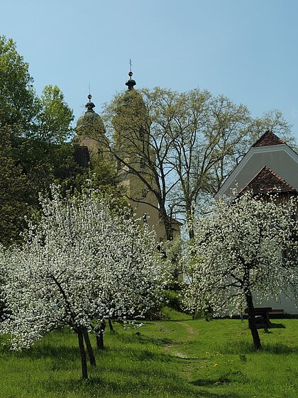 View of the blossoming fruit trees in the Schenkkellergarten near Schloss Stainz. In the background you can see the towers of the collegiate church.