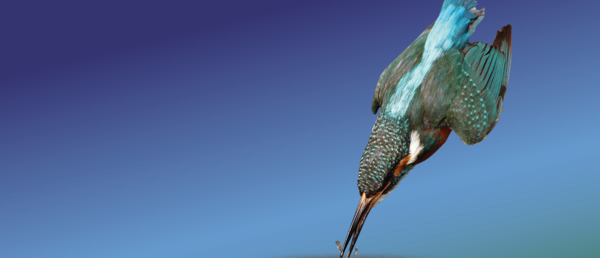 Naturkundemuseum