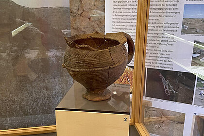 Dreharbeiten für "Wer bist du: Steiermark?" im Hengist-Museum im Schloss Wildon, Wildon