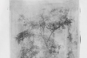 Photography and sustainability