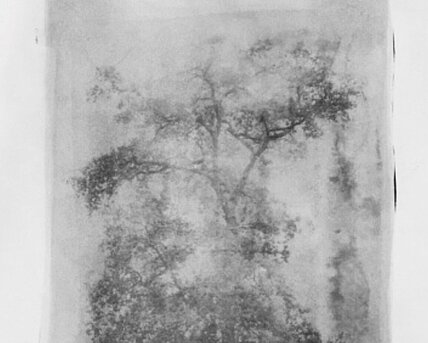 Photography and sustainability