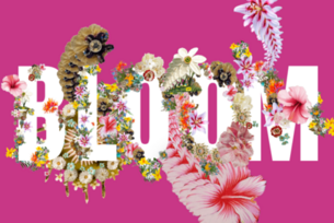 Workshop: Blume persönlich