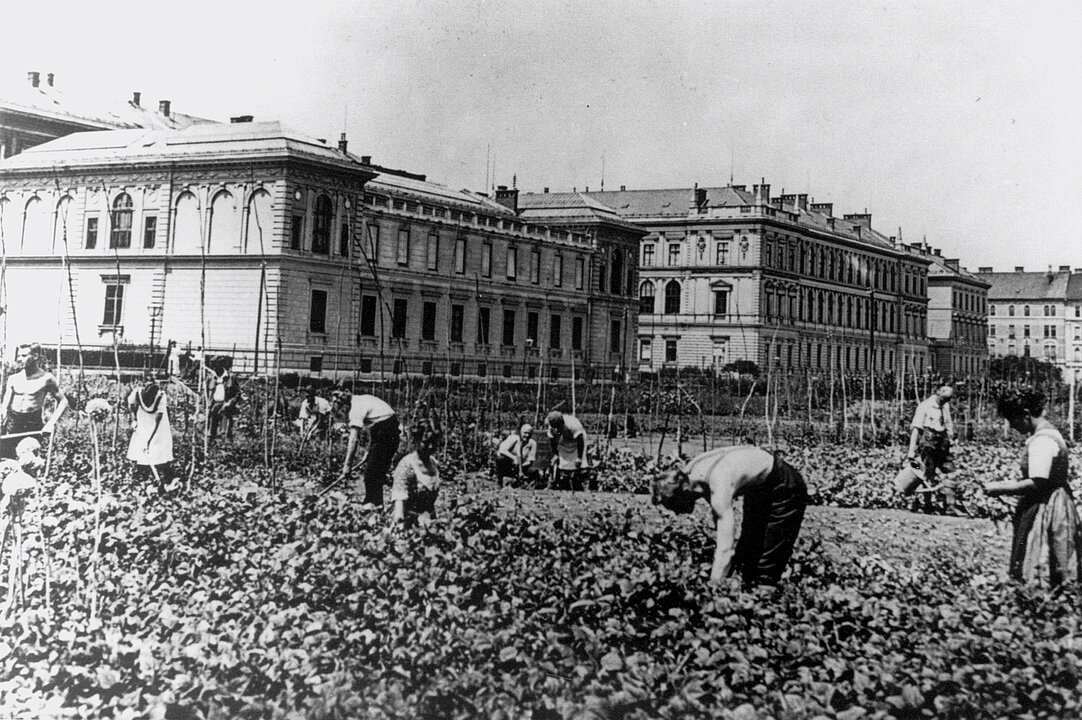 Anbau vor der Universität Graz, Fotografie, Leihgabe des Archivs der Karl-Franzens-Universität Graz