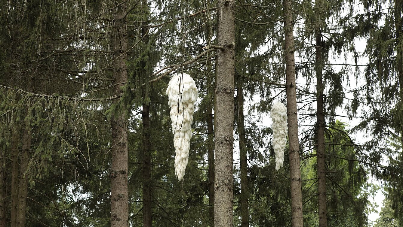 The work consists of oversized white cones made of absorbent cotton hanging high in the branches.