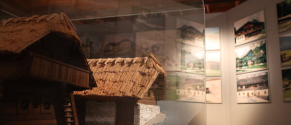 Ausstellungen