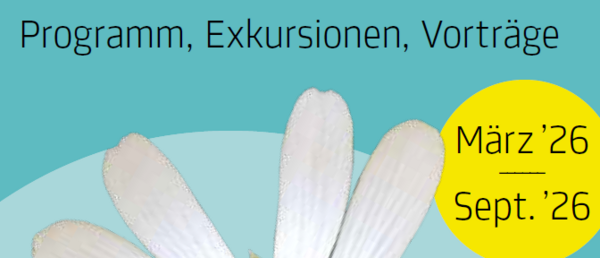 aktueller Programmfolder