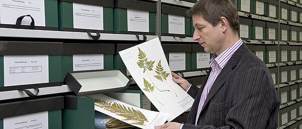 Botany & Mycology