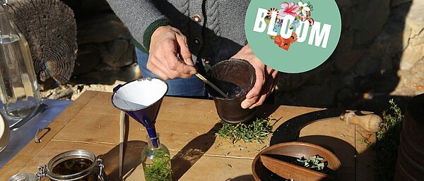 Blühende Medizin – Die vielfältige Kraft der Pflanzen