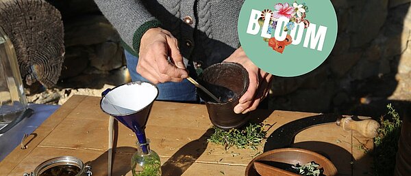 Blooming Medicine – The Power of Plants 