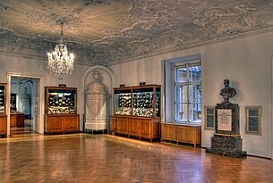 Museologische Forschung aus Graz: