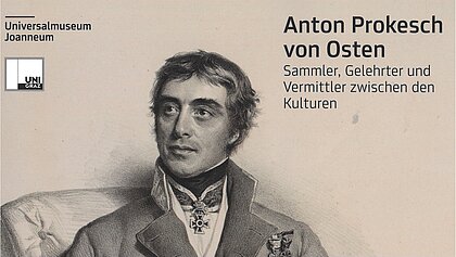 Cover der Publikation Schild von Steier, Band 29