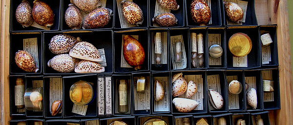 Zoology