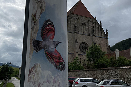 Dreharbeiten für "Wer bist du: Steiermark?" Naturmuseum Neuberg – Sammlung Schliefsteiner