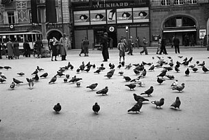 FORTBILDUNG: Demokratie und Menschenrechte in Gefahr?