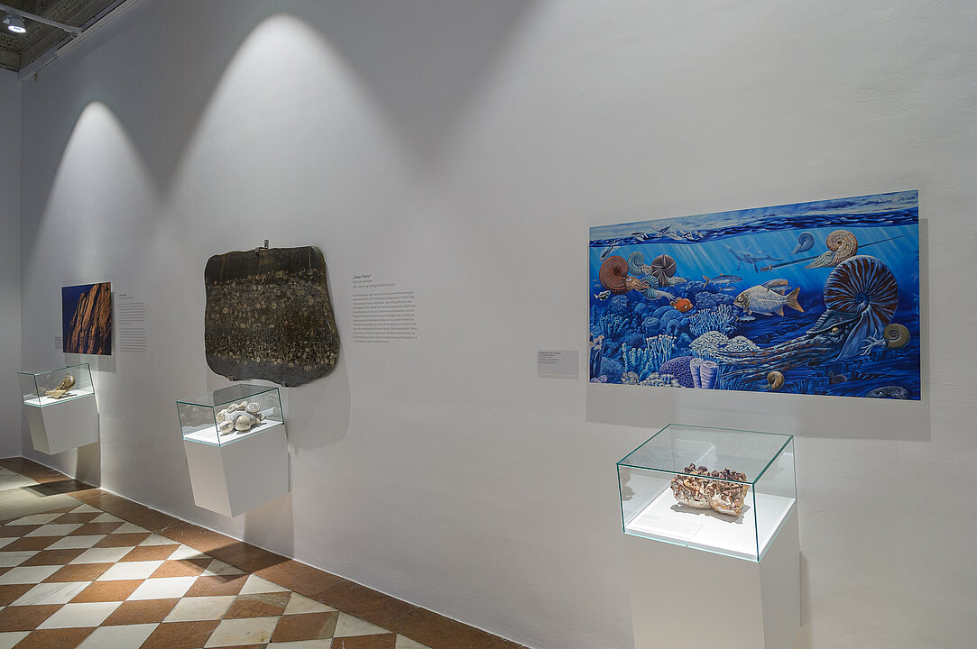 Ausstellungsansicht: An einer weißen Wand hängen geologische Objekte und ein Gemälde von einer urzeitlichen Unterwasserlandschaft.
