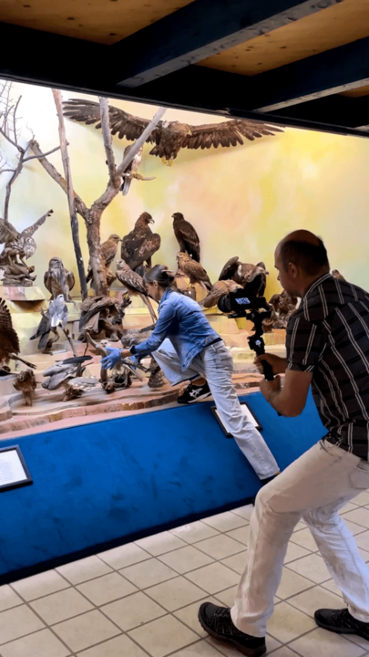 Dreharbeiten für "Wer bist du: Steiermark?" Naturmuseum Neuberg – Sammlung Schliefsteiner