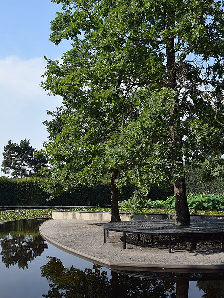 On an island by the lotus flower pond, a construction made of sheet steel circles a tree trunk located there. A place to linger. 