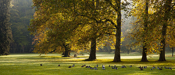 Schlosspark und Gärten