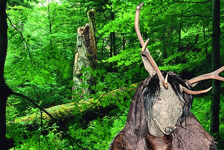Fotografie von einem naturbelassenen grünen Mischwald. Davor steht ein Mann, der eine Maske trägt. Die Maske erinnert an ein Wildschwein, hat aber Hirschgeweihe.