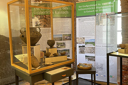 Dreharbeiten für "Wer bist du: Steiermark?" im Hengist-Museum im Schloss Wildon, Wildon