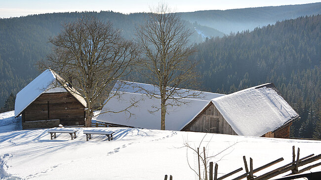 Blick auf den tief verschneiten Kluppeneggerhof mit Geburtshaus und Stallungen. Davor zwei große kahle Bäume.