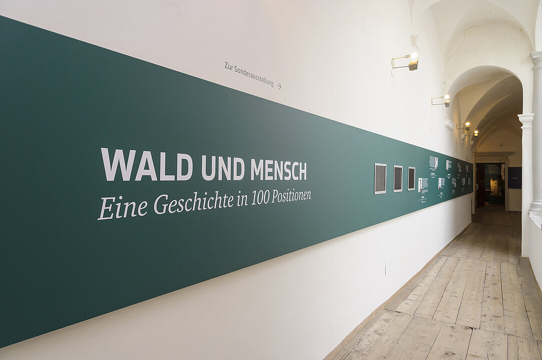 Foto von einem langen Gang. Auf der grünen Wand steht in weißer Schrift "Wald und Mensch. Eine Geschichte in 100 Positionen"