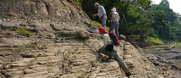 Evolutionsgeschichte von Cyprideis (Ostracoda) in Amazonien