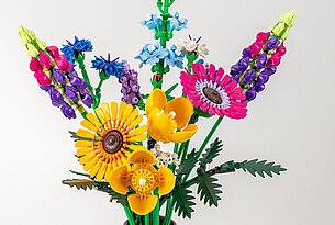 Vergissmeinnicht und Löwenzahn!