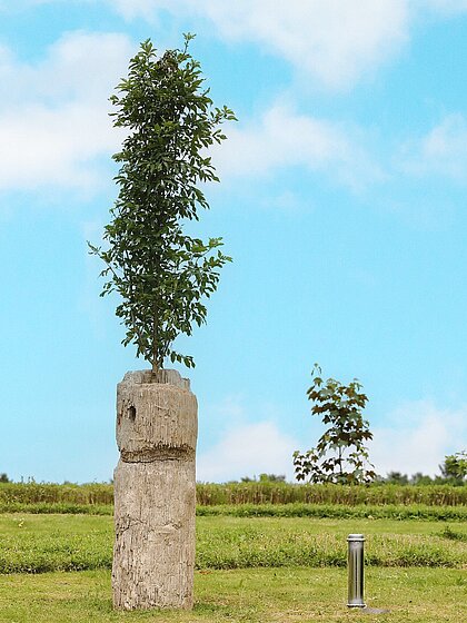 Christian Kosmas Mayer: Zeit, Zuwendung und Raum, 2025