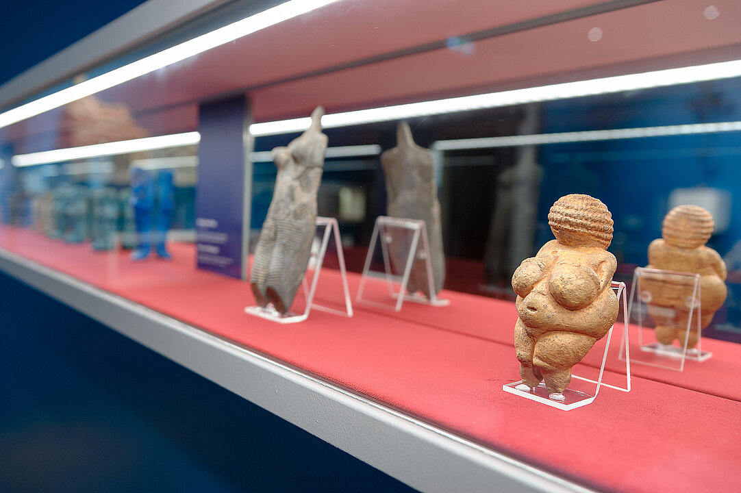 In einer länglichen Vitrine stehen zwei archäologische Objekte. Beide stellen Frauenfiguren da.