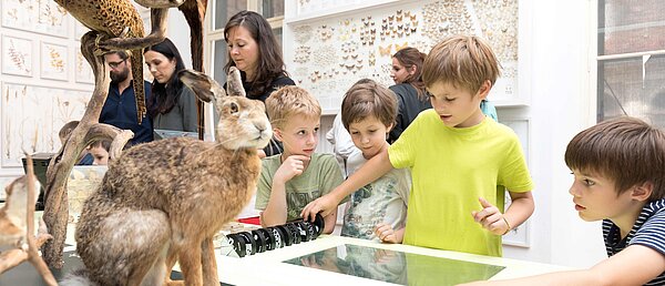 Kinder beschäftigen sich mit einem interaktiven Ausstellungsmodul zum Thema Artenvielfalt im Naturkundemuseum.