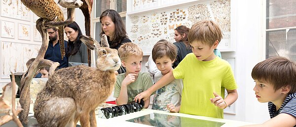Kinder beschäftigen sich mit einem interaktiven Ausstellungsmodul zum Thema Artenvielfalt im Naturkundemuseum.